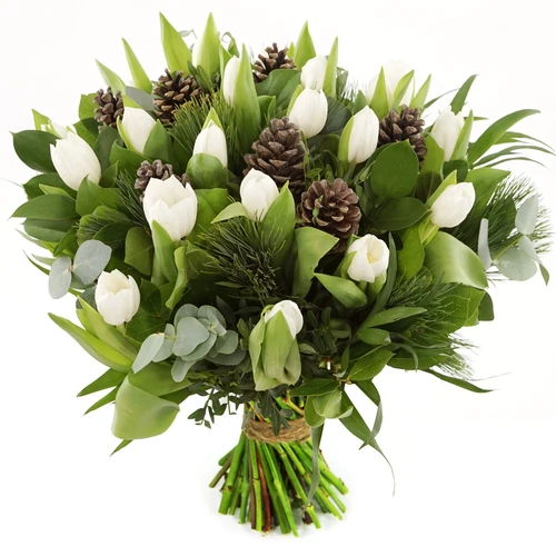 Witte kerst tulpen dennenappels