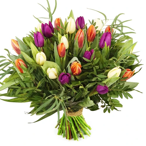 Tulpen boeket oranje, paars, creme