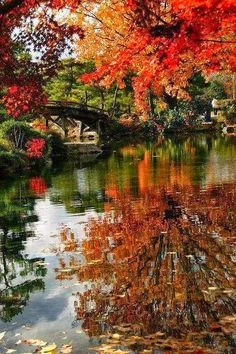 Herfsttips Boeketcadeau.nl