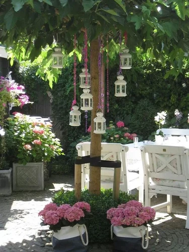 De verzorging van je tuinplanten in de zomer