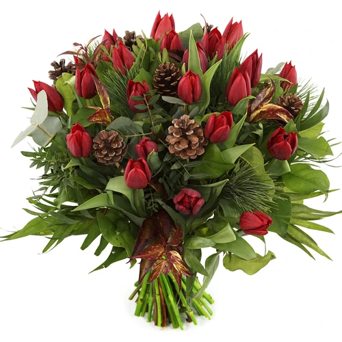 Rode kerst tulpen dennenappels
