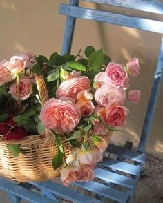 Bloemen voor een goed humeur