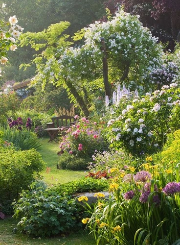 De verzorging van je tuinplanten in de zomer