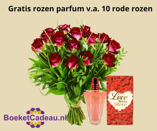 Eeuwige Roos - Geschenkdoos - Geschenkbloem - Liefde