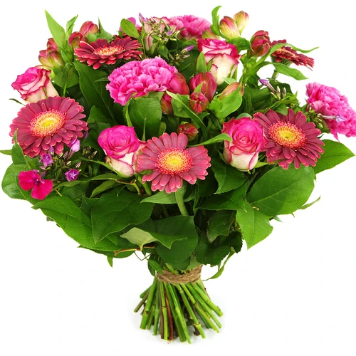 Bloemen roze donker roze