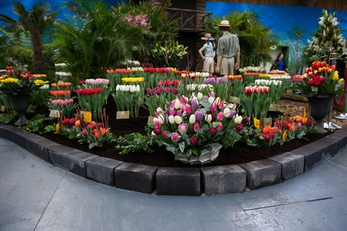 Bloemen bezorgen