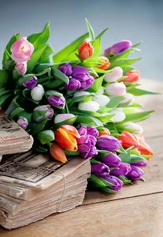 Nationale Tulpen Dag
