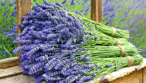 Bloemen eten, boeketcadeau blogs