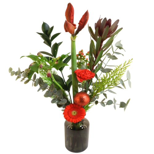 Amaryllis rood inclusief vaas