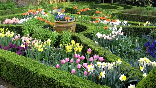 Bloemen bezorgen