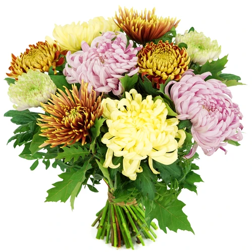 Bolchrysanten mixed Uniek herfst boeket