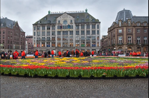 Tip! Tulpenweken