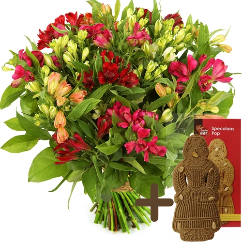 Alstroemeria mix Speculaaspop koek