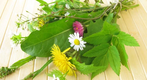 3 x de kracht van bloemen