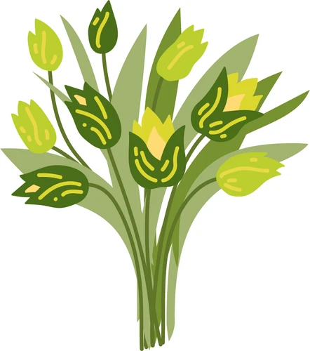 Tulpen boeket in mooie kleuren