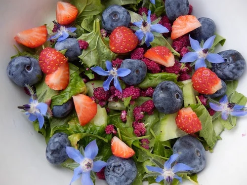 Bloemen eten, boeketcadeau blogs