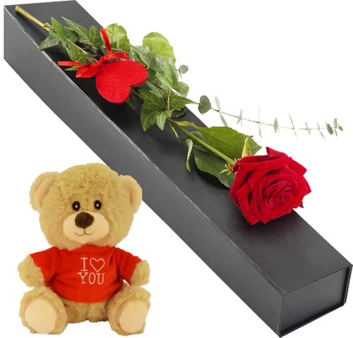 https://static.boeketcadeau.nl/cache/202507/a8f7ac17277c773dd38e9ab15e09bc77ec67ab1d5540ddc5f58ff993b441e166-luxe_rode_roos_in_zwarte_box_knuffeltje_i_love_you.webp