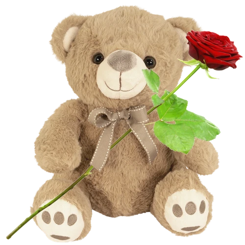 https://static.boeketcadeau.nl/cache/202508/389b91873966e283c871ce6ae0fba8d21eb5a75fef508420fa8f78b1fb8b47c8-Bruine_knuffel_met_rode_roos.webp