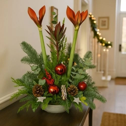 Kerststuk 2 Amaryllissen ca. 60 cm hoog