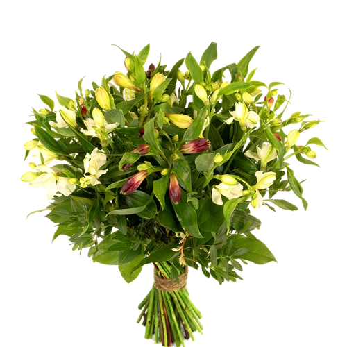 Boeket Alstroemerias (lang houdbaar)