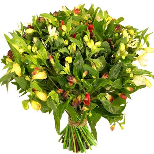 Boeket Alstroemerias (lang houdbaar)